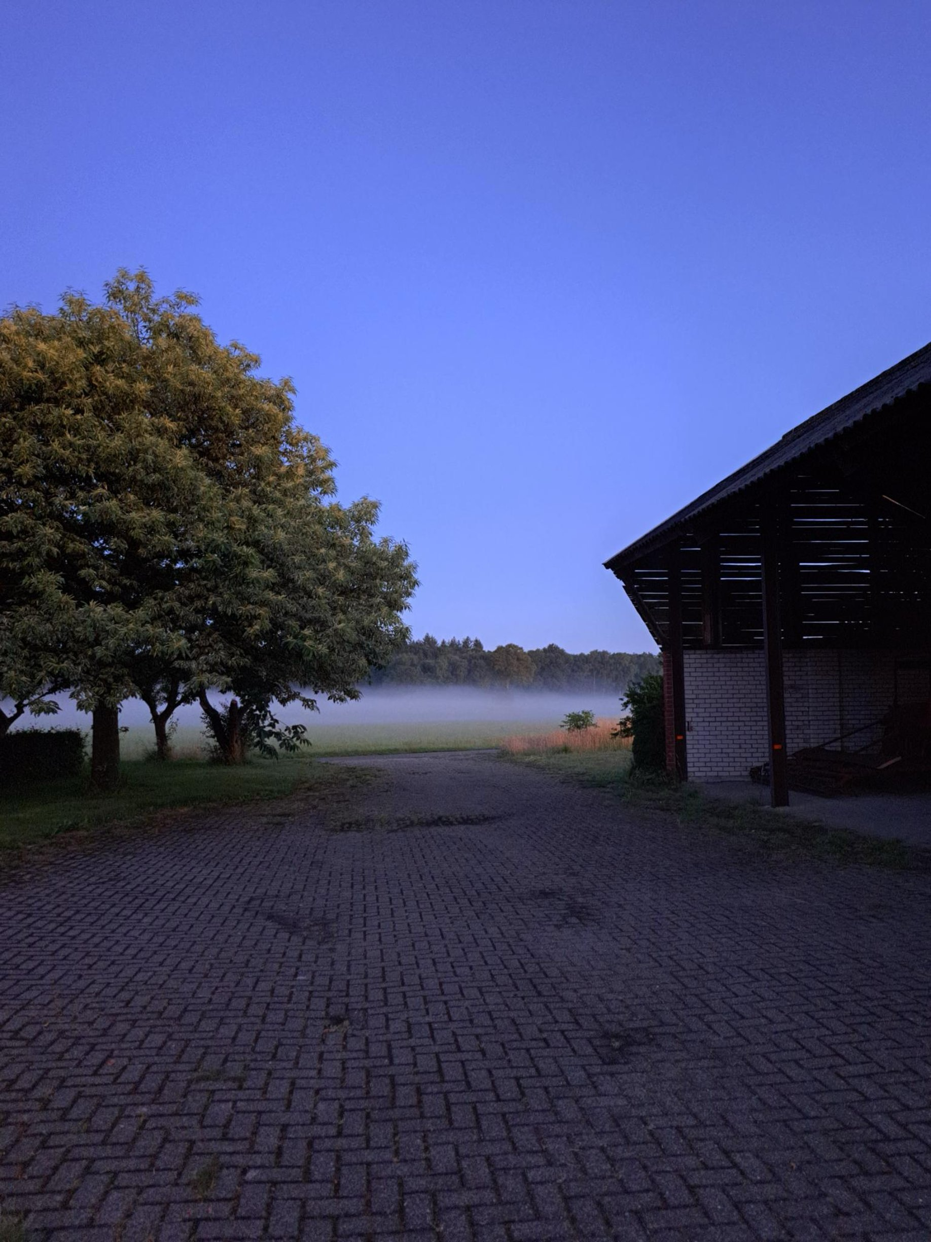 Ochtend bij de boerderij